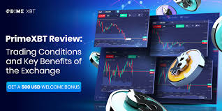 Experience Cutting-Edge Trading with PrimeXBT Online Platform Experience Cutting-Edge Trading with PrimeXBT Online Platform