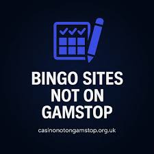 Bingo Sites Not Affected by Online Gaming Regulations