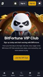 Leading Bonus Buy Slots Everything You Need to Know